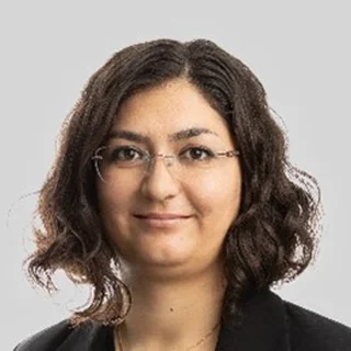 Arezoo Rahmani